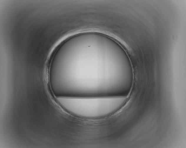 X0000112531510200908171134