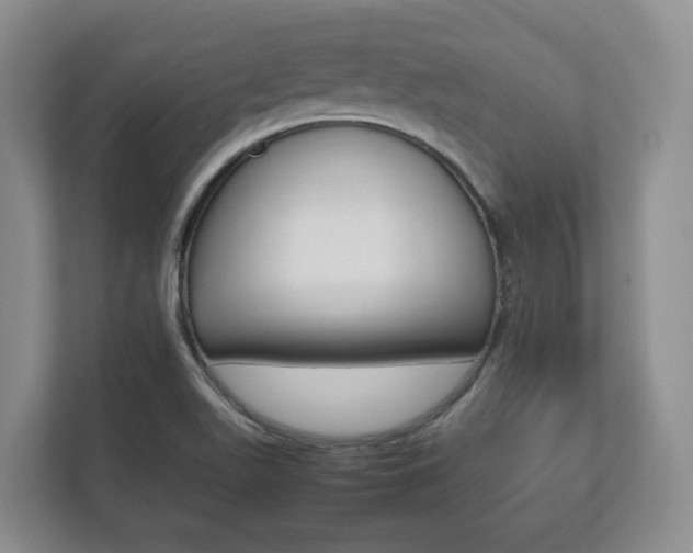 X0000112531511200908171134