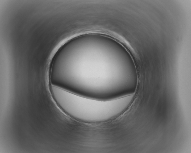 X0000112531512200908171134