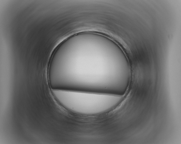 X0000112531513200908171134
