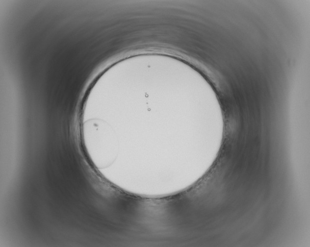 X0000112531514200908171134