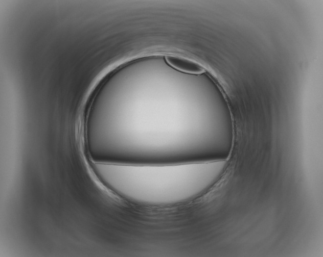 X0000112531515200908171134