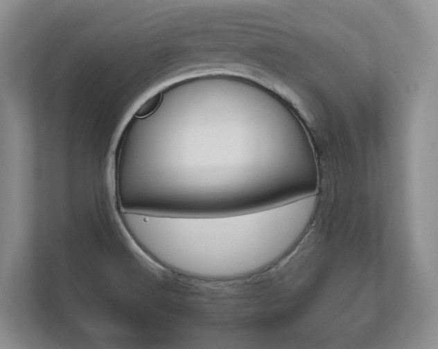 X0000112531516200908171134
