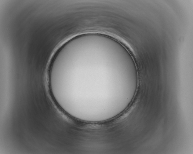 X0000112531517200908171134