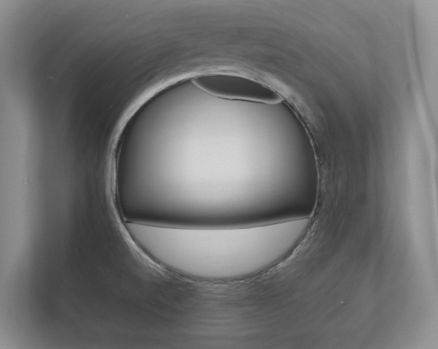 X0000112531520200908171134
