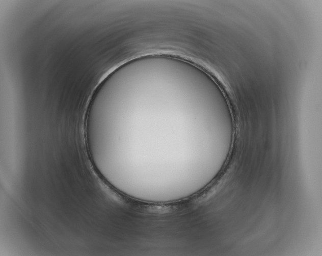 X0000112531521200908171134