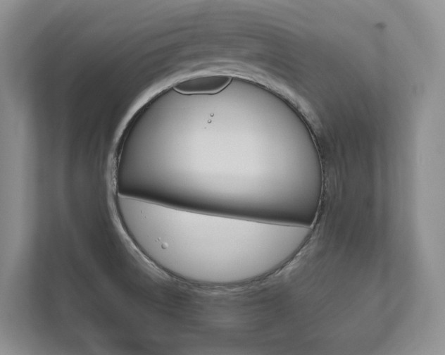 X0000112531522200908171134