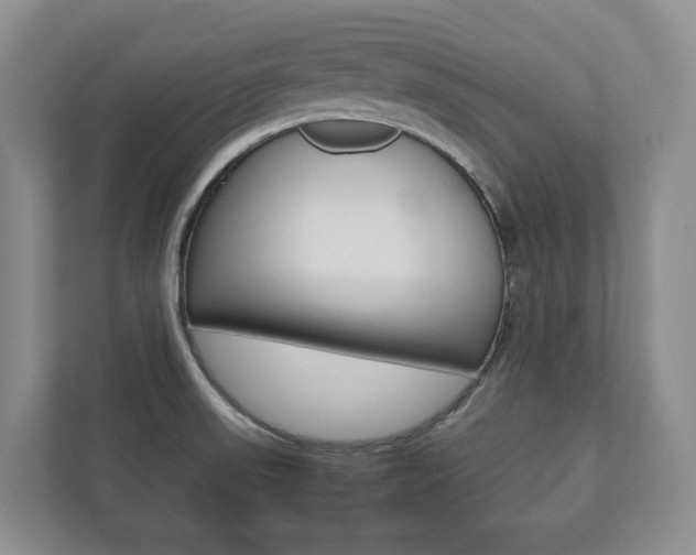 X0000112531523200908171134