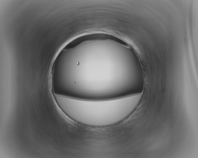 X0000112531524200908171134