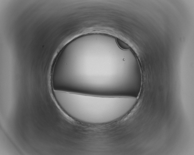X0000112531525200908171134