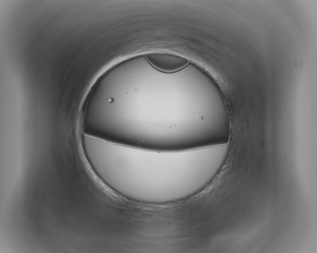 X0000112531526200908171134
