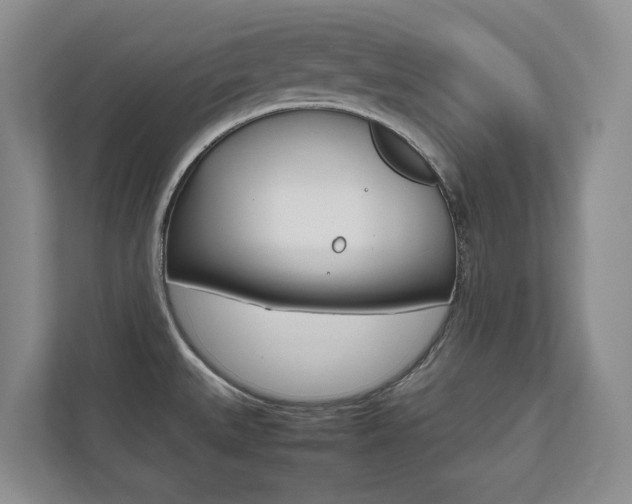 X0000112531527200908171134