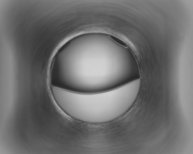 X0000112531528200908171134