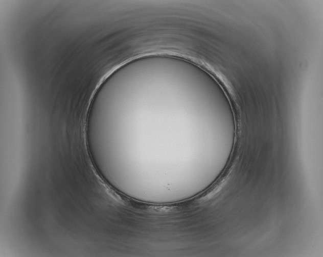 X0000112531529200908171134