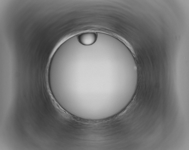 X0000112531530200908171134