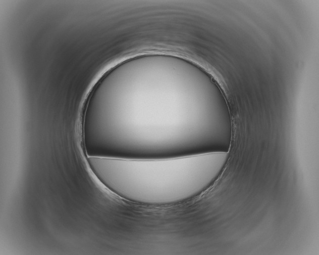 X0000112531531200908171134