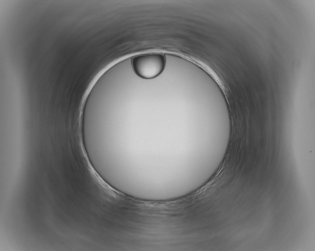 X0000112531532200908171134