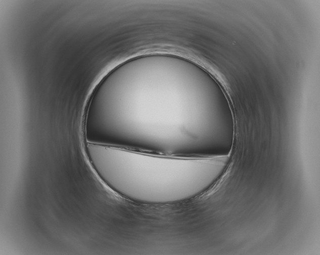 X0000112531533200908171134