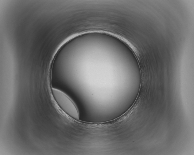 X0000112531534200908171134