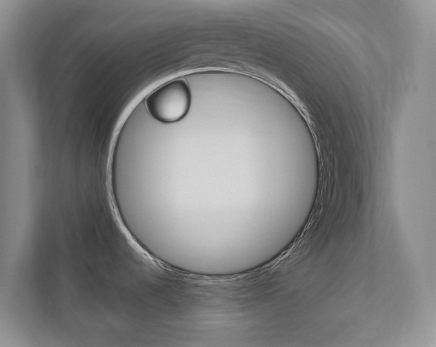 X0000112531536200908171134