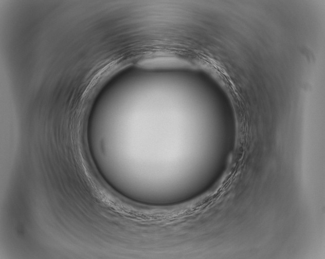 X0000112530001200908171431