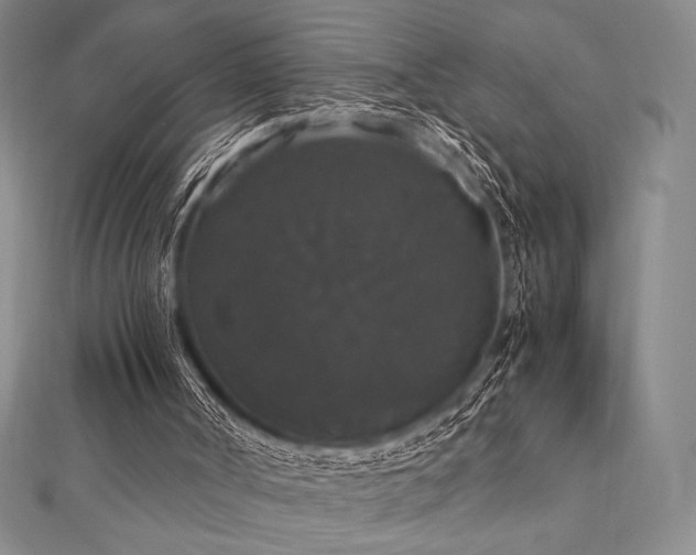 X0000112530002200908171431