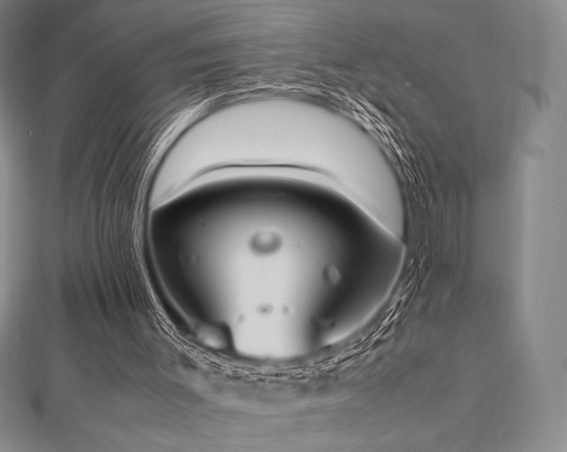 X0000112530003200908171431