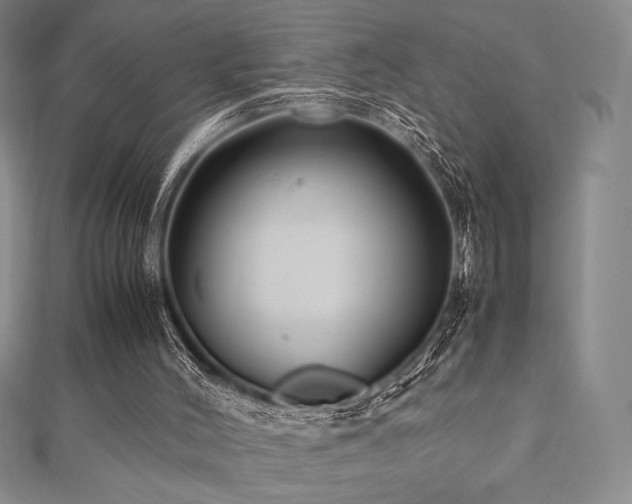 X0000112530004200908171431