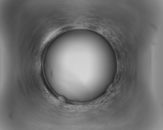 X0000112530005200908171431