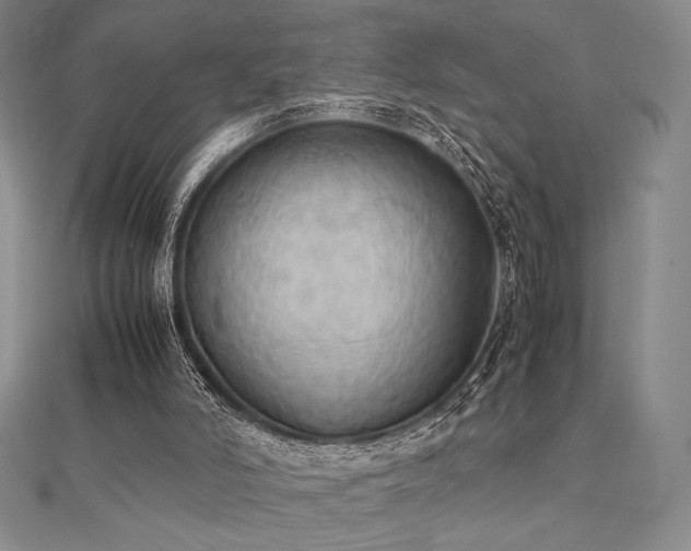 X0000112530006200908171431