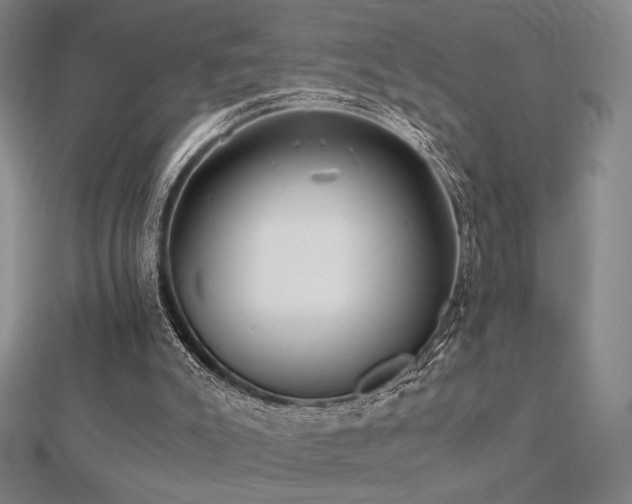 X0000112530007200908171431