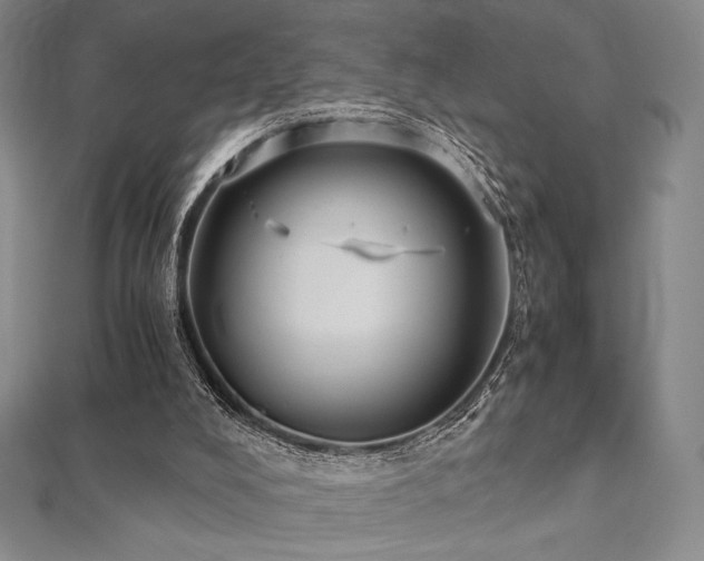 X0000112530008200908171431