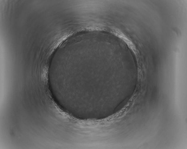X0000112530009200908171431