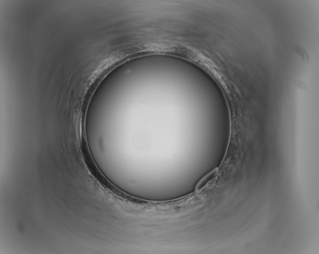 X0000112530011200908171431