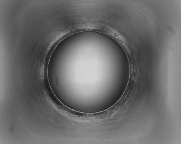 X0000112530012200908171431