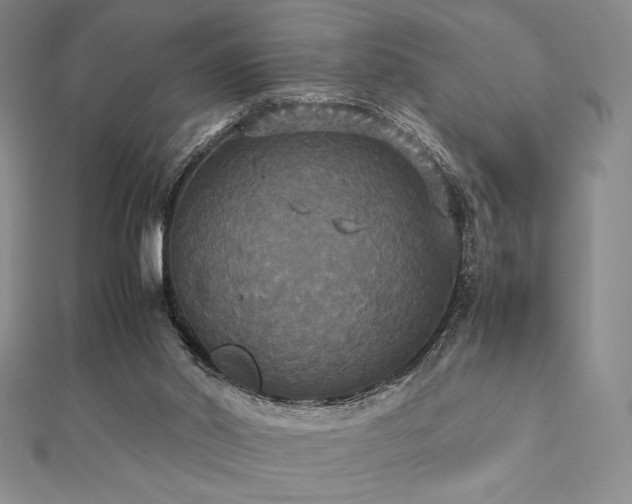 X0000112530014200908171431