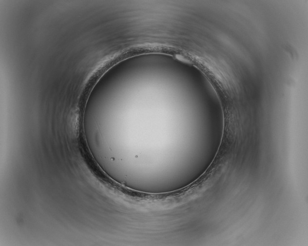 X0000112530016200908171431