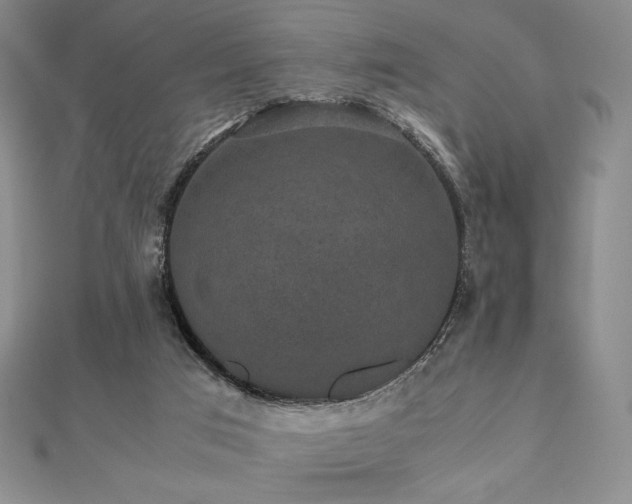 X0000112530017200908171431