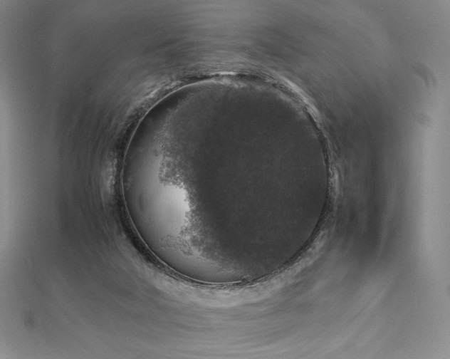 X0000112530018200908171431