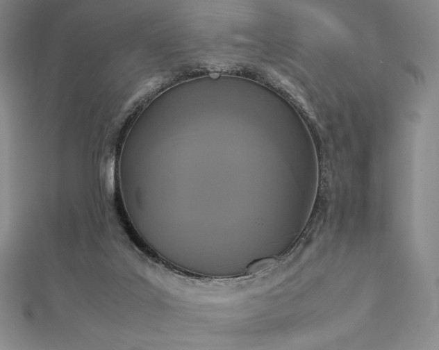 X0000112530019200908171431