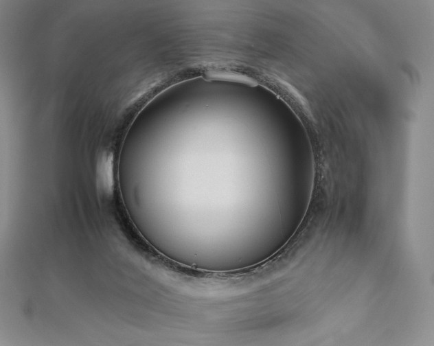 X0000112530020200908171431