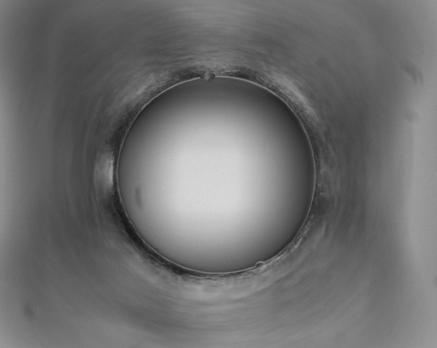 X0000112530021200908171431
