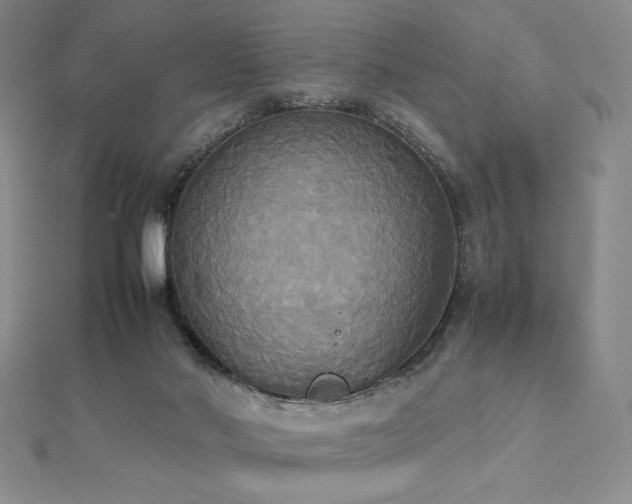 X0000112530022200908171430