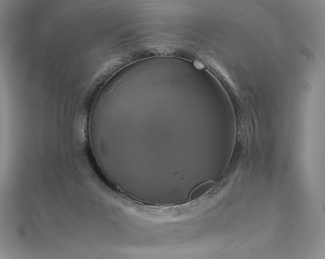 X0000112530023200908171430