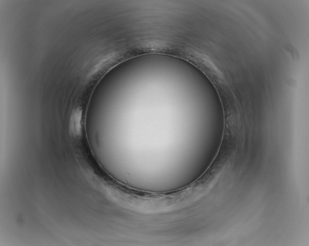 X0000112530024200908171430