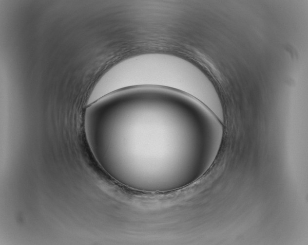 X0000112530025200908171430