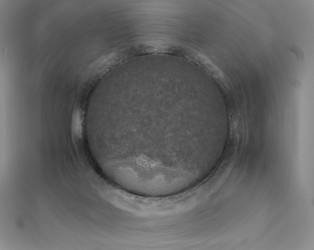 X0000112530026200908171430