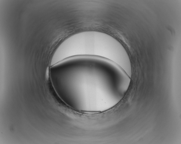X0000112530027200908171430