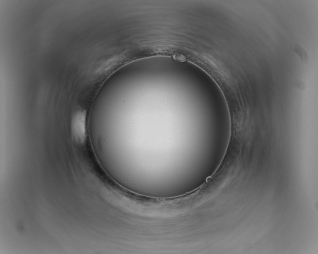 X0000112530028200908171430