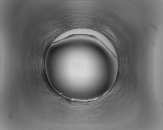 X0000112530029200908171430